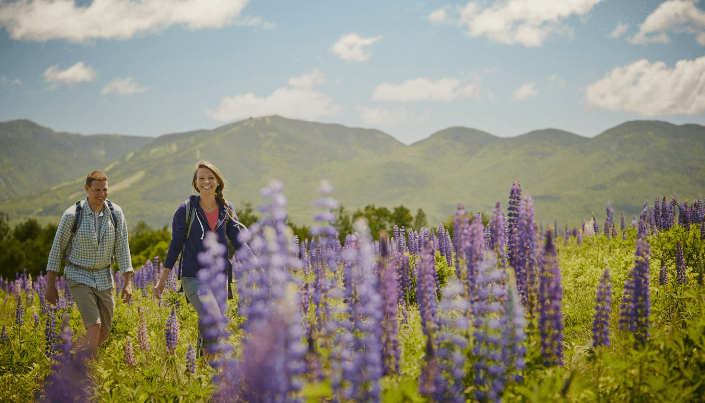 Activities in Spring