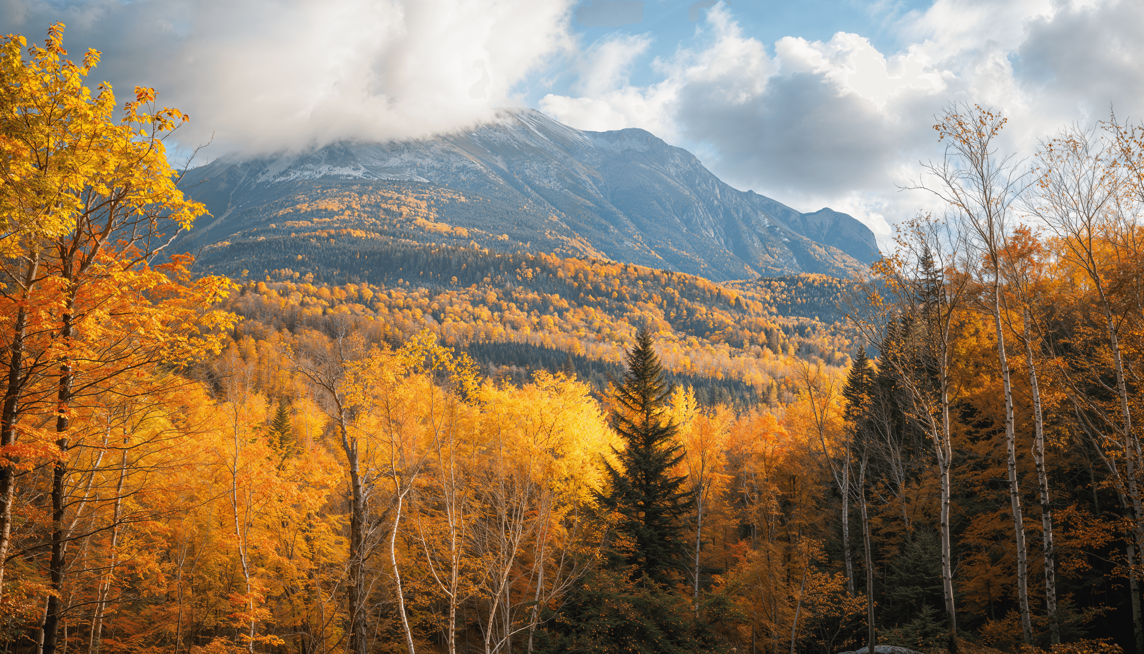 Fall